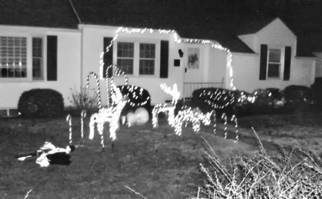 holidayhousephotos4.jpg