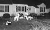 holidayhousephotos4_small.jpg