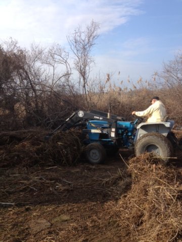 beachrepairaftersandygarycleaningdebris.jpg